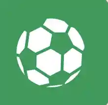 中国足彩指定与世界杯